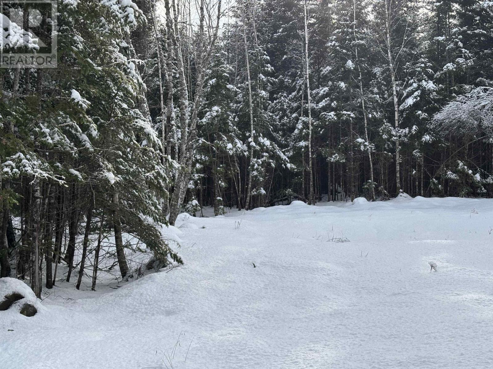 Lot 17 Lakefront Drive, Chelsea, Nova Scotia  B4V 7M9 - Photo 12 - 202502268