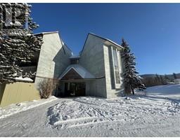 320 Northgate Unit# 101 Tumbler Ridge
