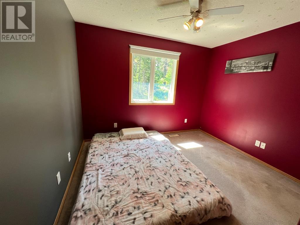 247 Woodley Drive, Hinton, Alberta  T7V 2C5 - Photo 17 - A2192404