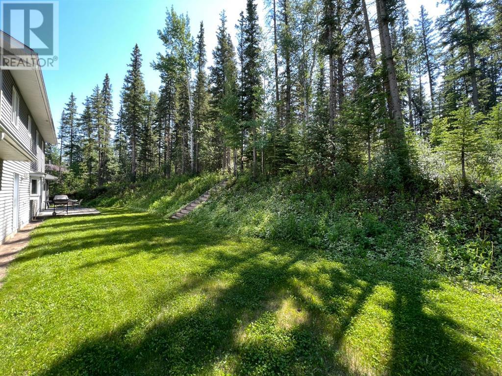 247 Woodley Drive, Hinton, Alberta  T7V 2C5 - Photo 32 - A2192404