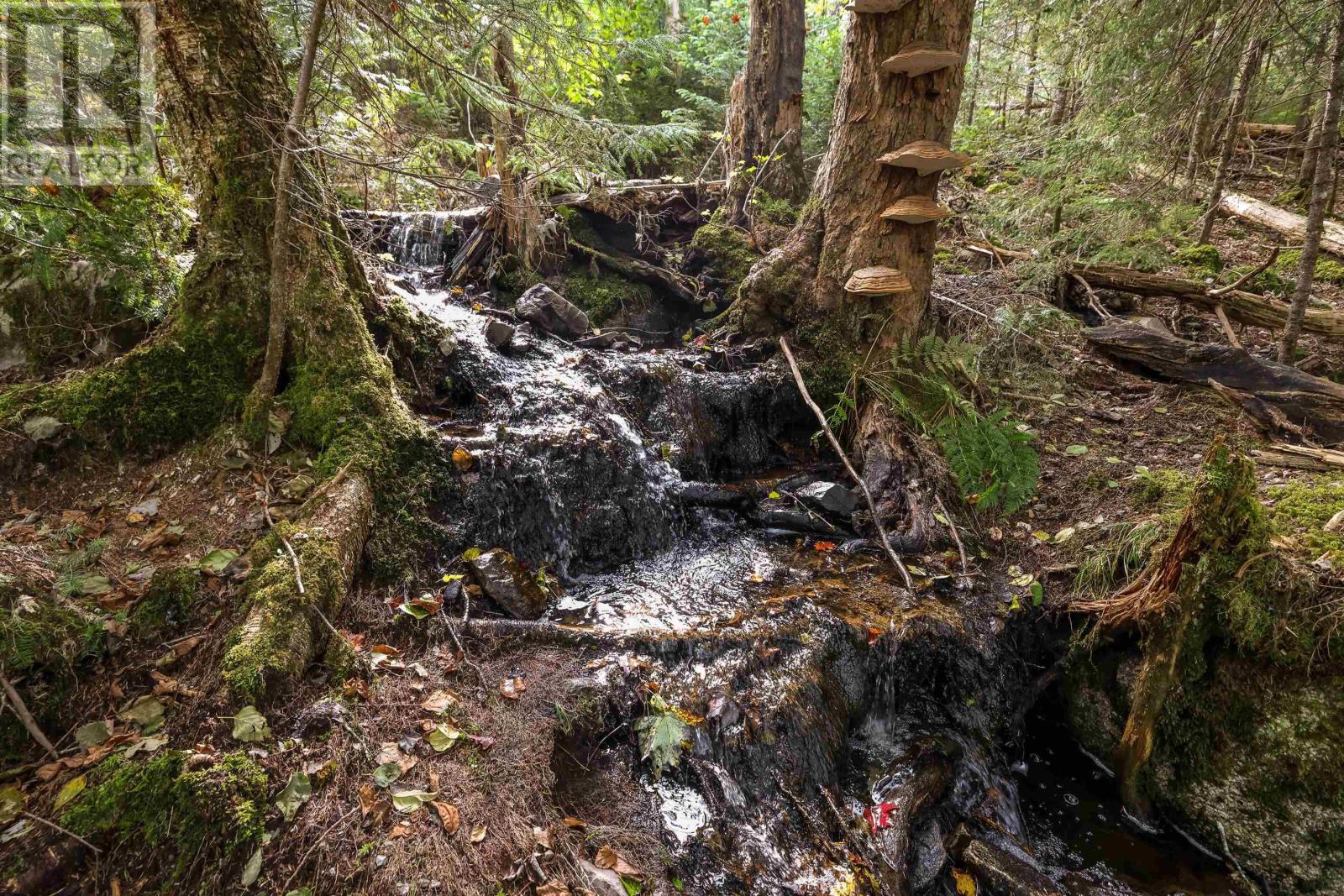 Lot 2 Stamping Mill Lane, Chester Basin, Nova Scotia  B0J 1K0 - Photo 12 - 202321084