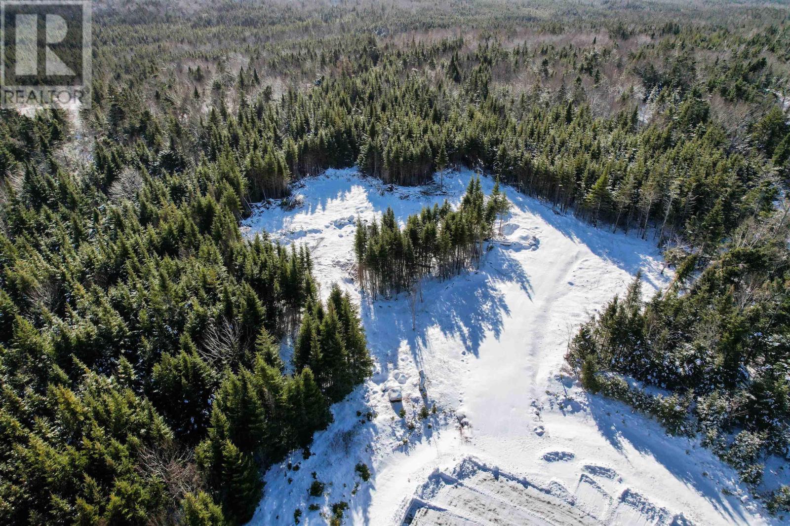 Lot 7 Brewer Drive, Mira Gut, Nova Scotia  B1K 2W4 - Photo 4 - 202502291