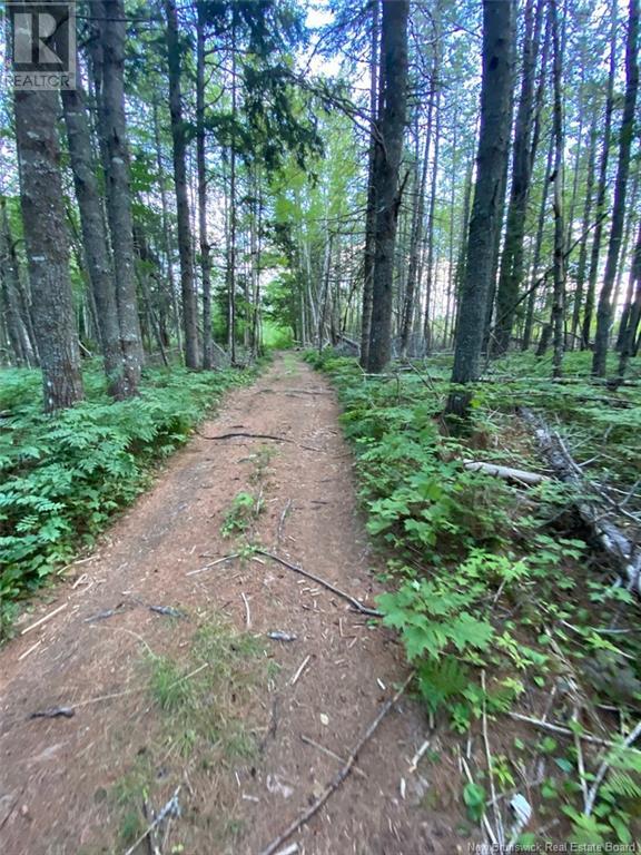5629 Route 8, Astle, New Brunswick  E6A 1N7 - Photo 12 - NB112104