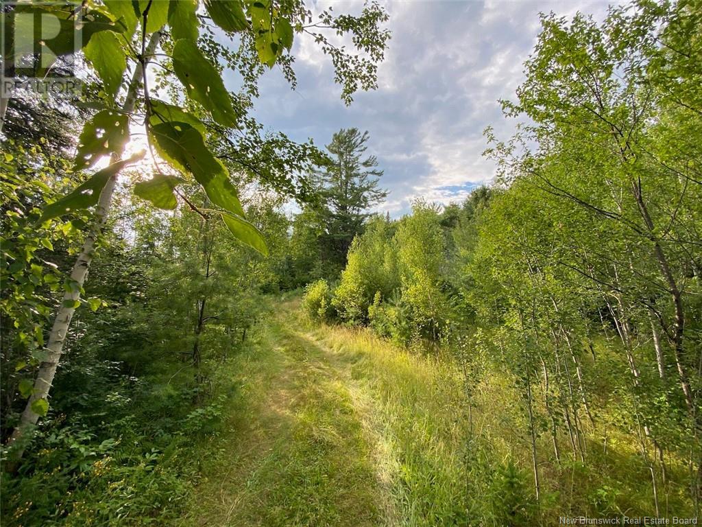 5629 Route 8, Astle, New Brunswick  E6A 1N7 - Photo 15 - NB112104
