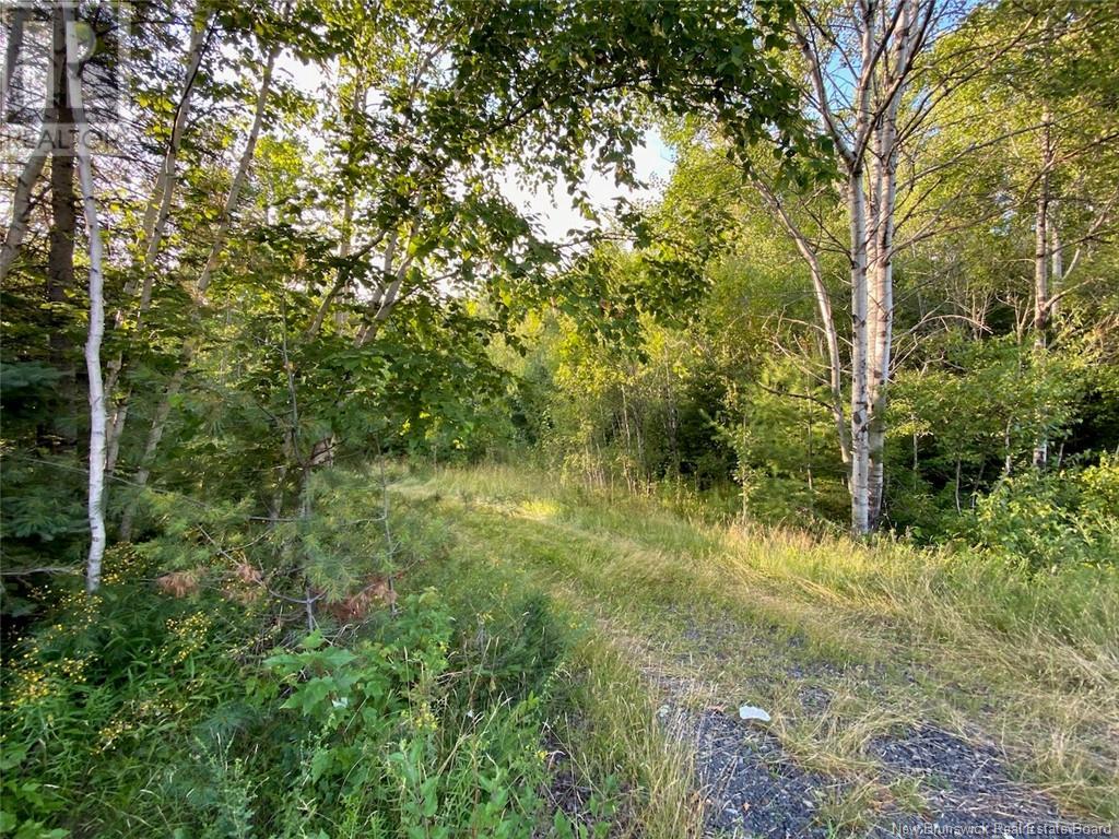 5629 Route 8, Astle, New Brunswick  E6A 1N7 - Photo 18 - NB112104