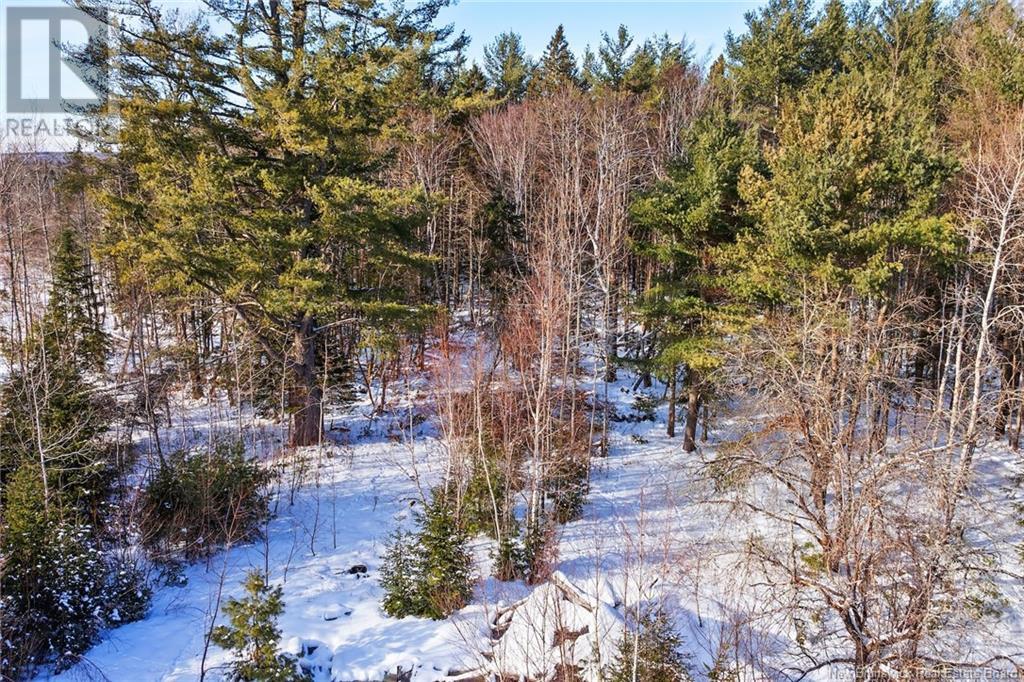 5629 Route 8, Astle, New Brunswick  E6A 1N7 - Photo 2 - NB112104