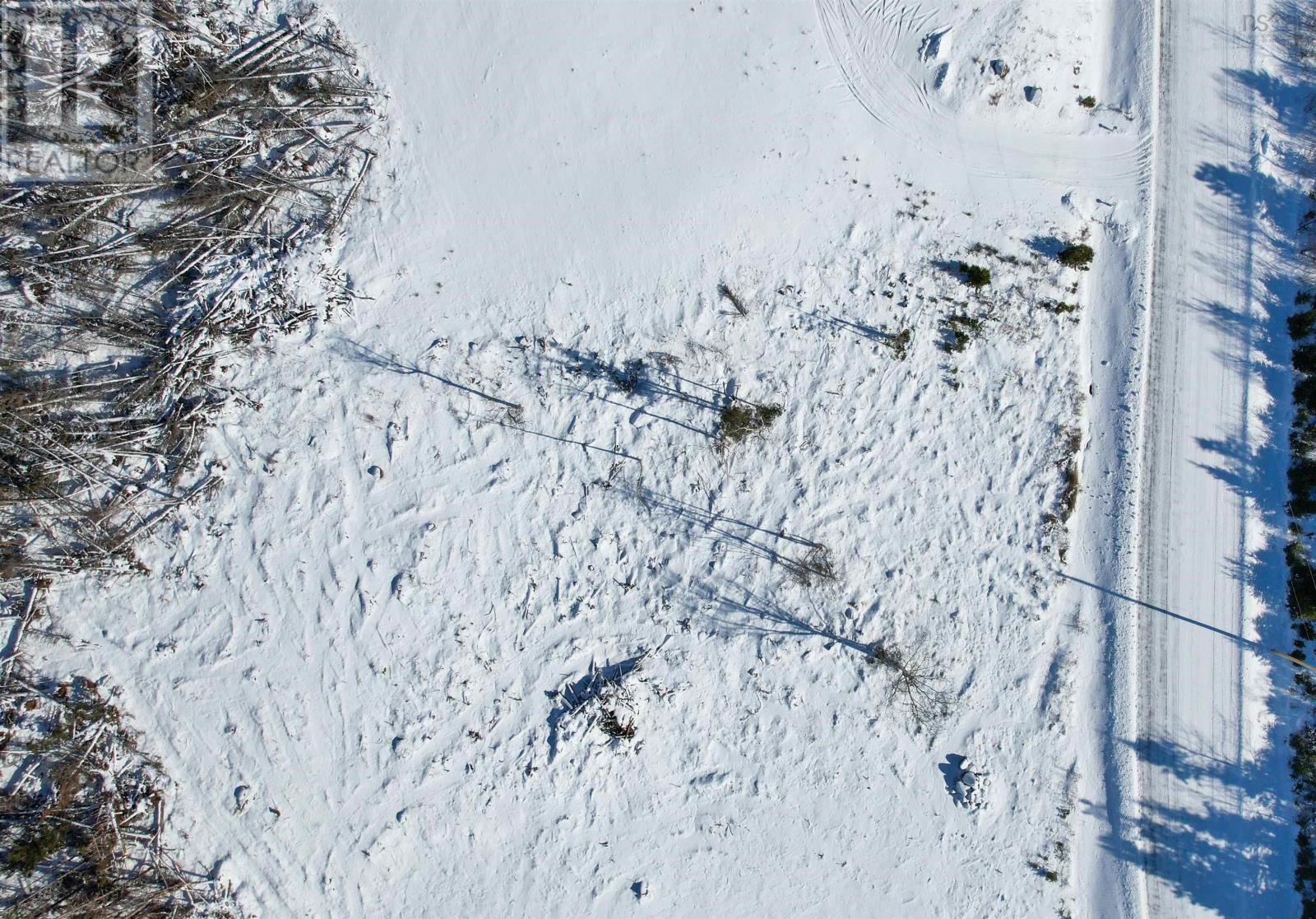 Lot 4 Brewer Drive, Mira Gut, Nova Scotia  B1K 2W4 - Photo 6 - 202502294