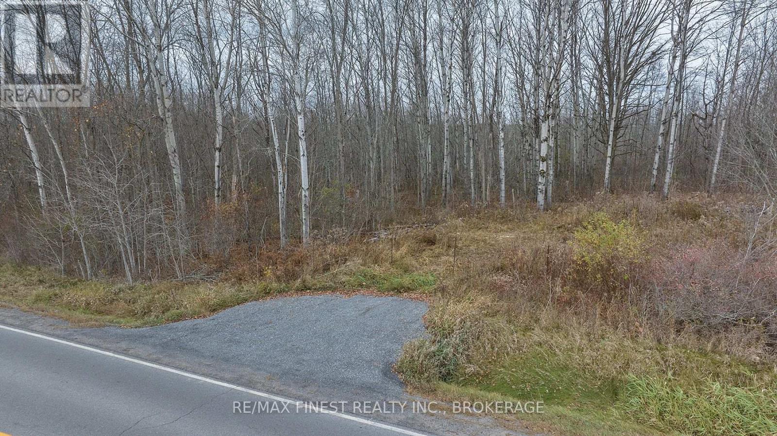 Lot 1 County Road 14, Stone Mills, Ontario  K0K 1Z0 - Photo 3 - X11956957