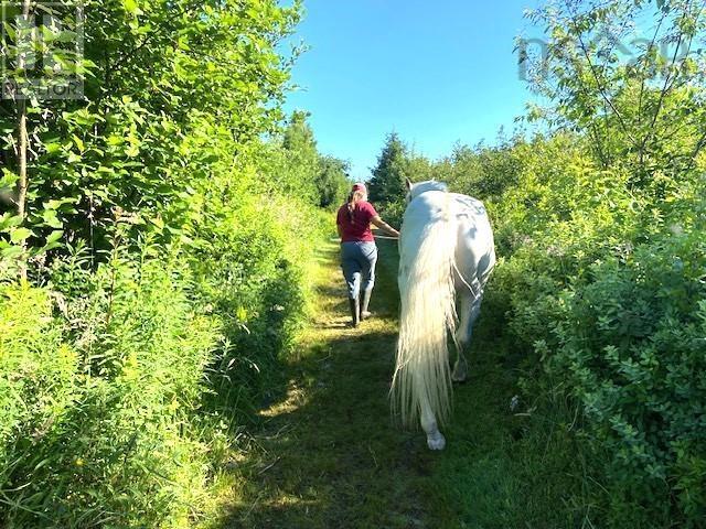 264 Brighton Road, Lockeport, Nova Scotia  B0T 1L0 - Photo 45 - 202502310