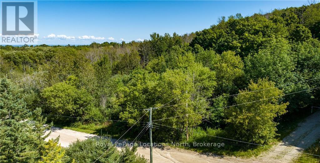 17-18 Scandia Lane, Blue Mountains, Ontario  N1A 2W1 - Photo 18 - X11952511
