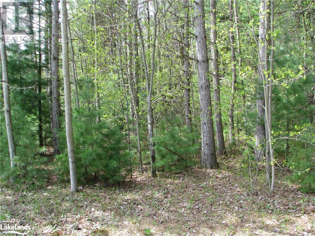 Con 1 Sunnidale Tosorontio, Clearview, Ontario  L0M 1N0 - Photo 15 - S10440105