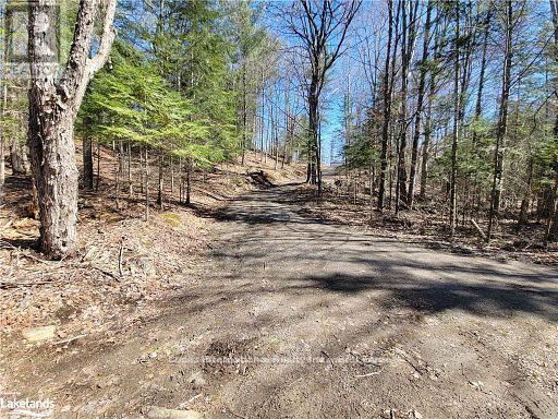 0 Highway 35 Highway, Lake Of Bays (Ridout), Ontario  P0A 1E0 - Photo 19 - X11957642