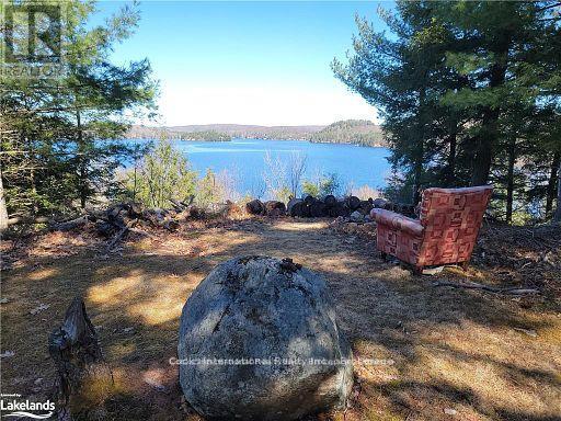 0 Highway 35 Highway, Lake Of Bays (Ridout), Ontario  P0A 1E0 - Photo 22 - X11957642