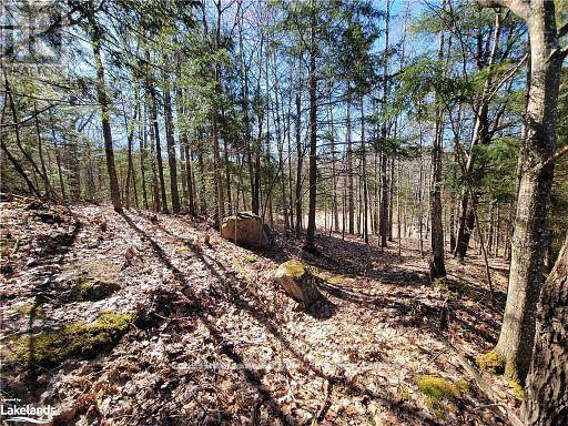 0 Highway 35 Highway, Lake Of Bays (Ridout), Ontario  P0A 1E0 - Photo 28 - X11957642