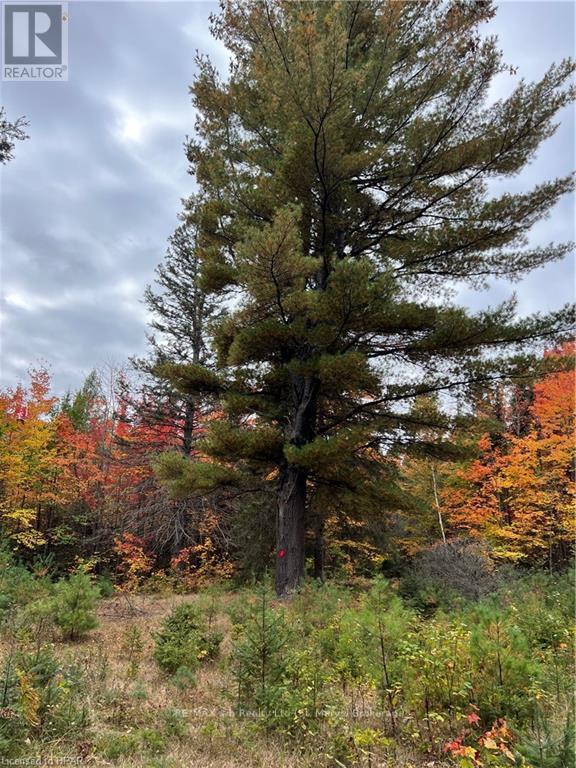 1759 Alsace Road, Nipissing, Ontario  P0H 1Z0 - Photo 10 - X10780753