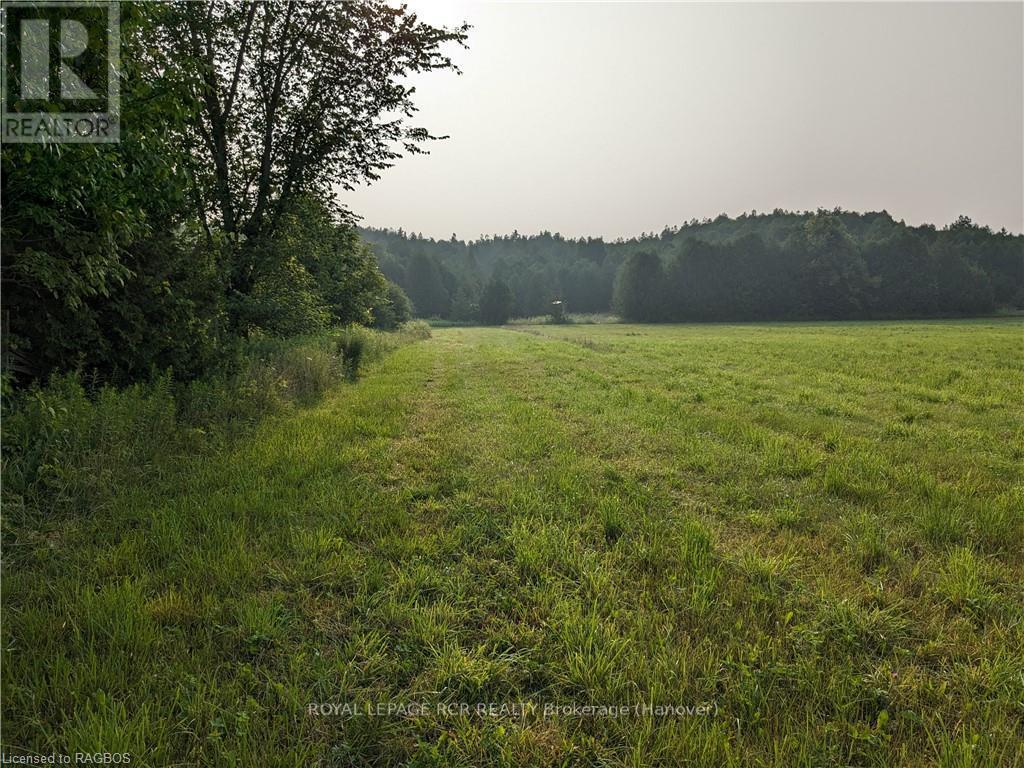 59 3rd, West Grey, Ontario  N0G 1R0 - Photo 13 - X10848726