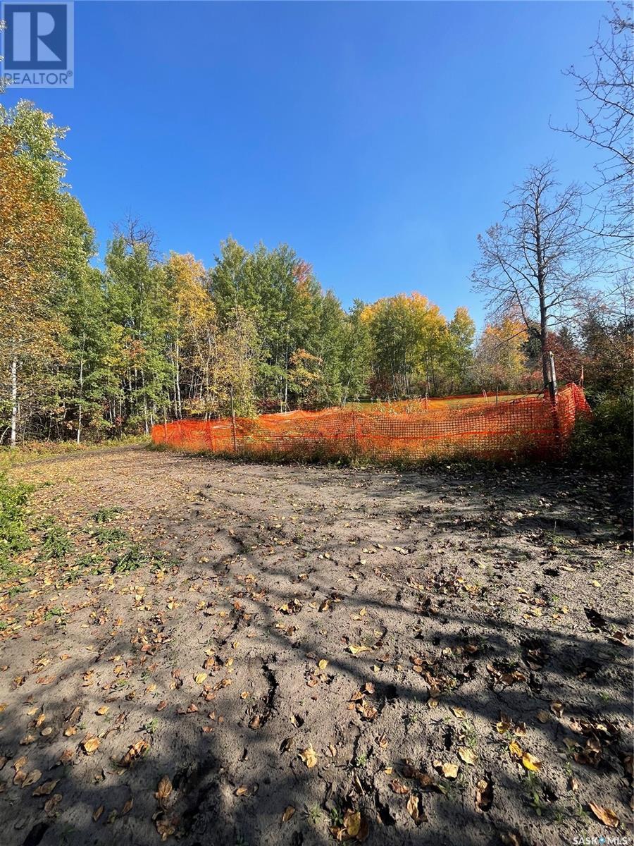 4.11 Acres Fir River Country Acreage, Hudson Bay Rm No. 394, Saskatchewan  S0E 0Y0 - Photo 48 - SK994201