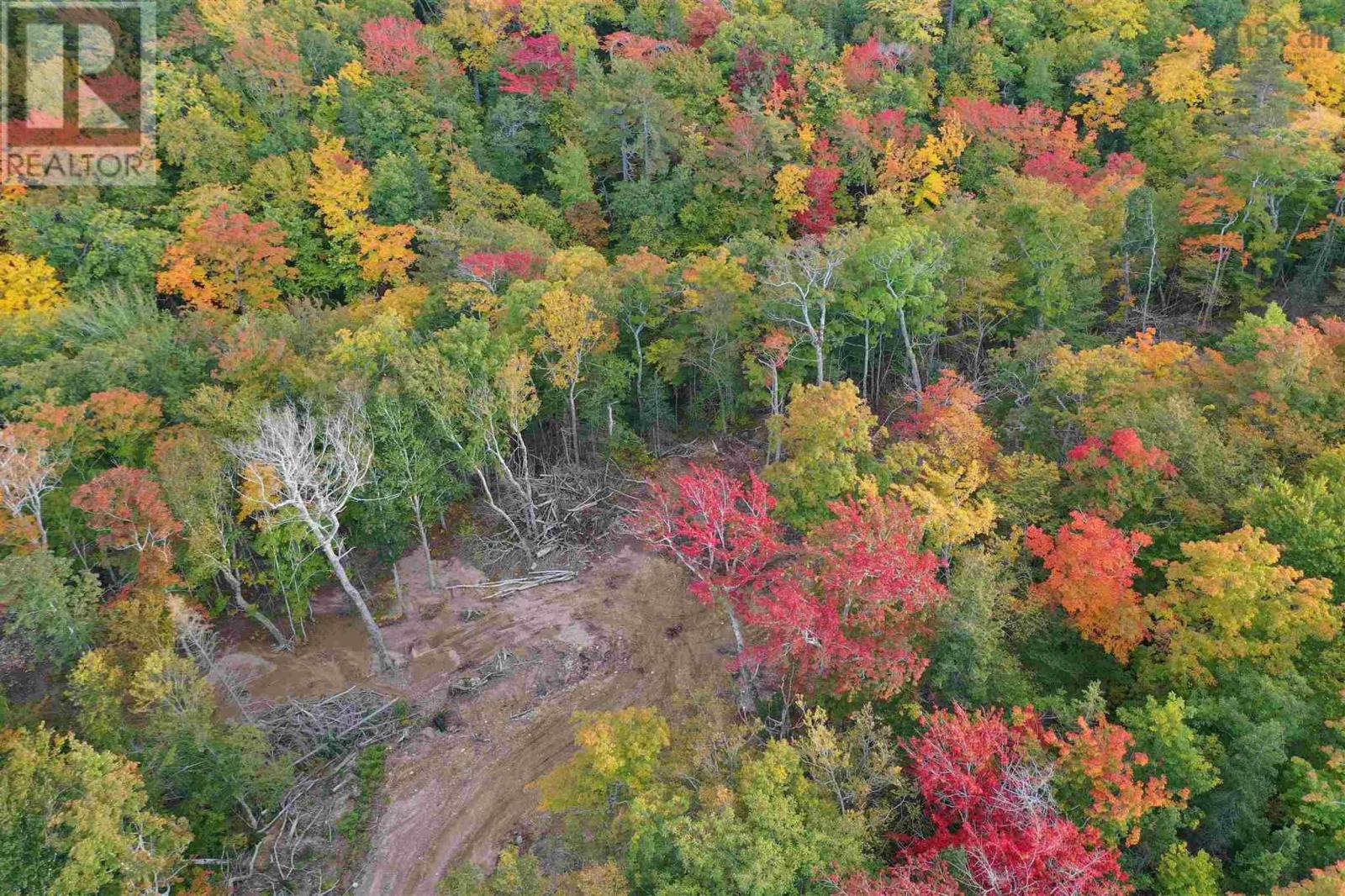 Cabot Trail, Sunrise Valley, Cape North, Nova Scotia  B0E 1C0 - Photo 1 - 202502345