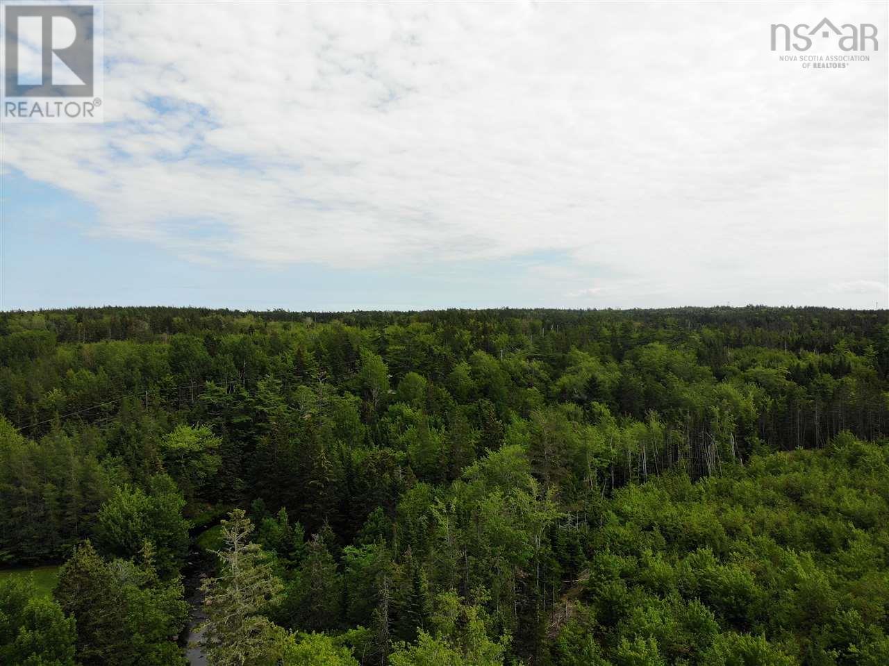 Crandall Road, Sugar Camp, Nova Scotia  B9A 1T8 - Photo 11 - 202502348