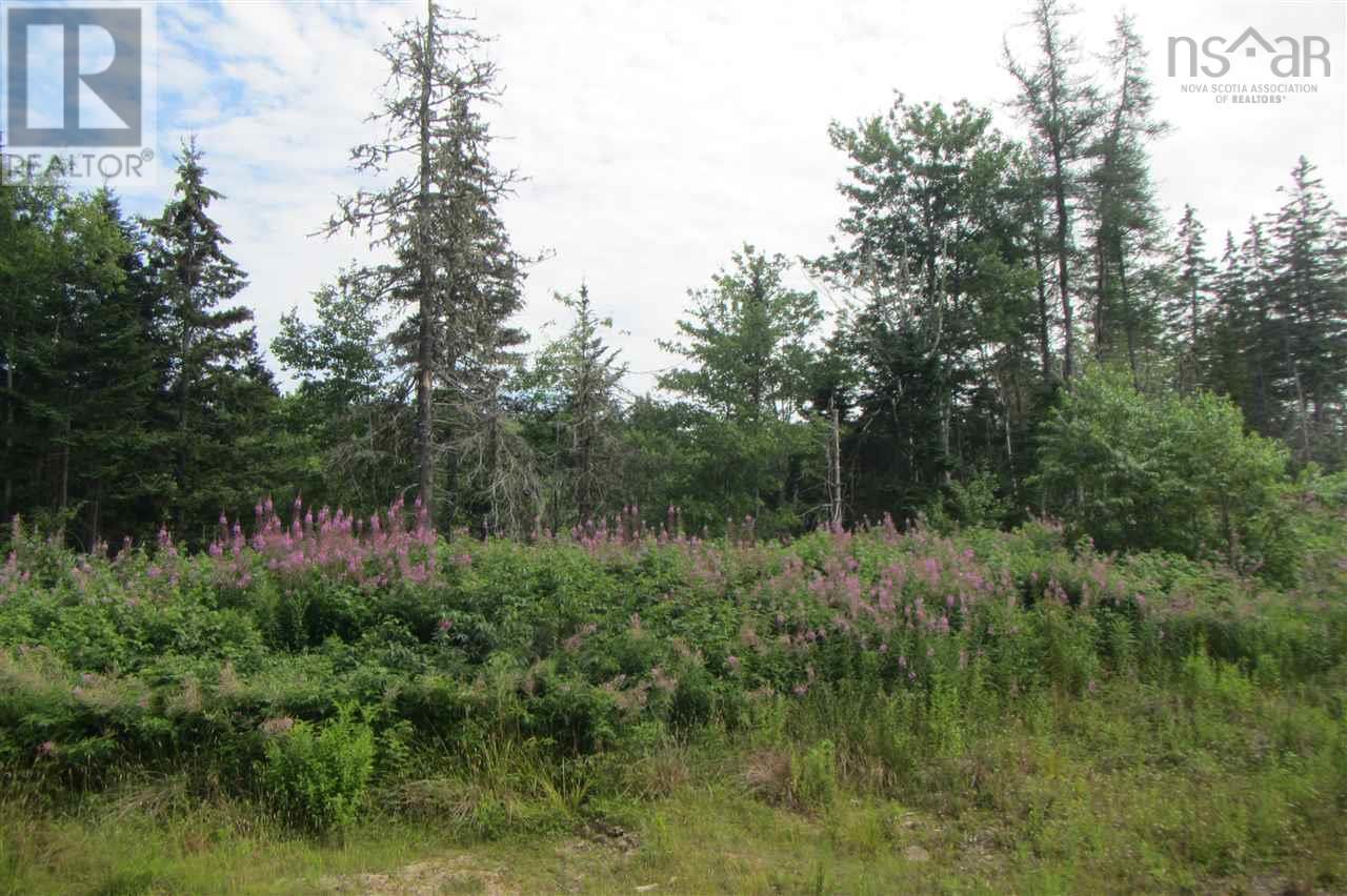 Crandall Road, Sugar Camp, Nova Scotia  B9A 1T8 - Photo 17 - 202502348