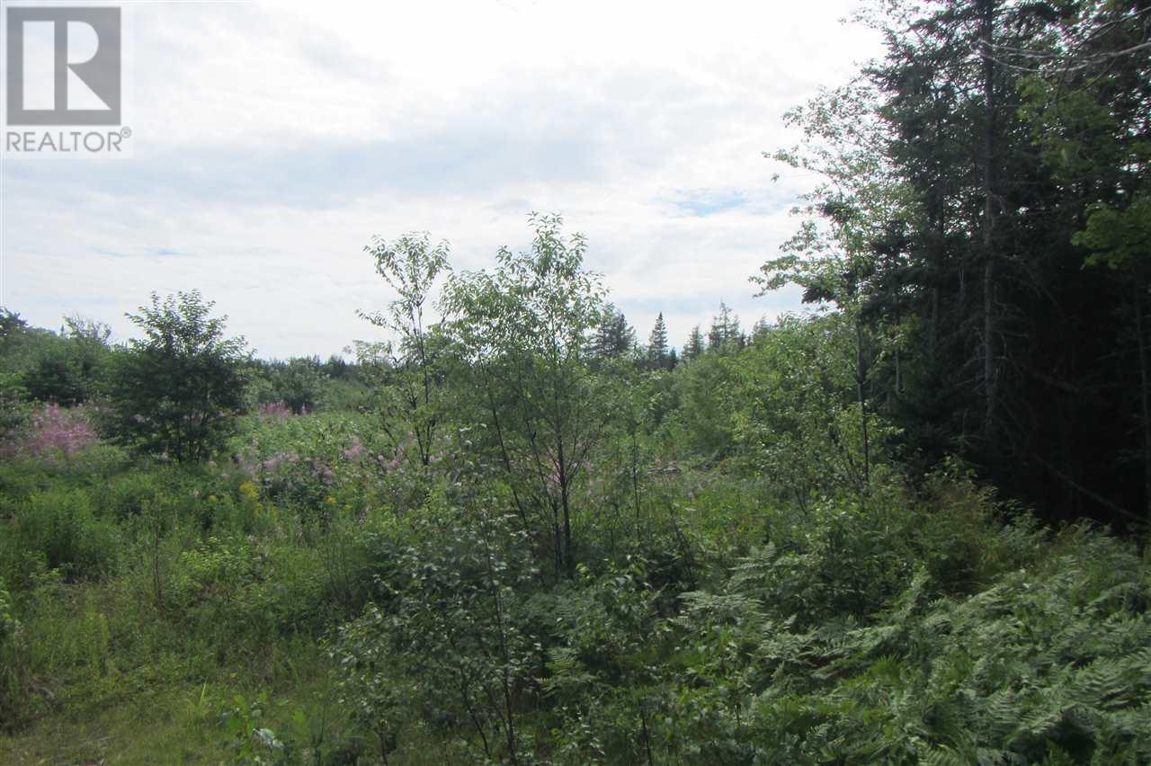 Crandall Road, Sugar Camp, Nova Scotia  B9A 1T8 - Photo 18 - 202502348