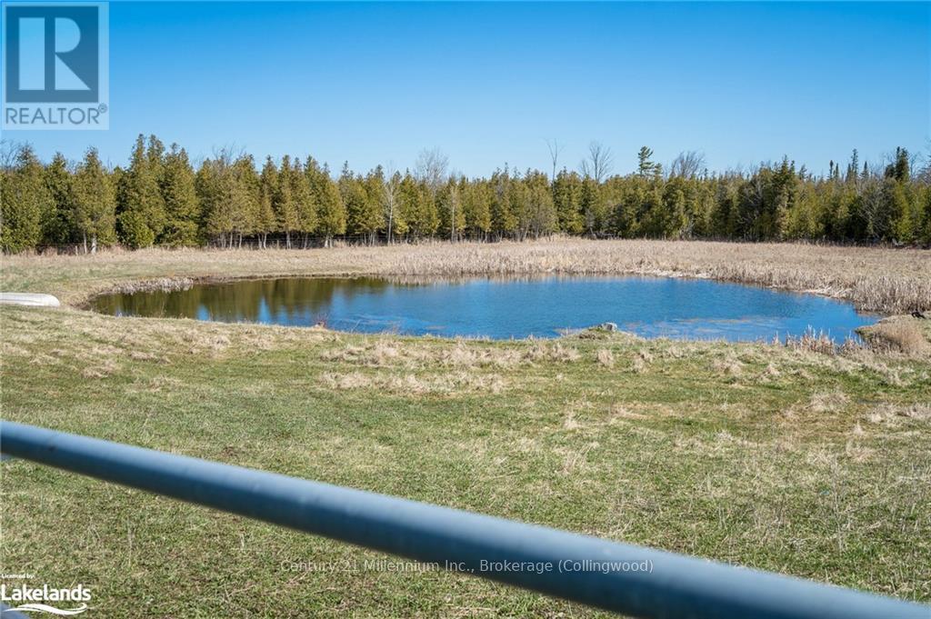 1617 County Rd 42, Clearview, Ontario  L0M 1S0 - Photo 8 - S10438702