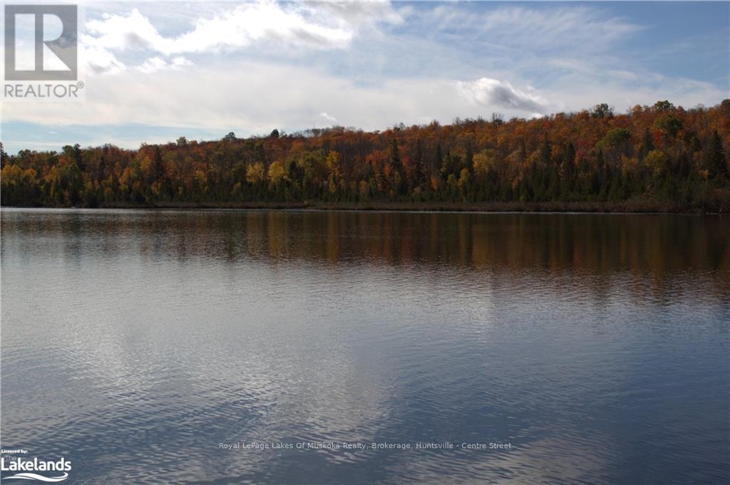 204 Wurm Road, Magnetawan, Ontario  P0A 1P0 - Photo 49 - X10439635