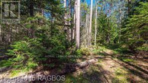 6313 6, Northern Bruce Peninsula, Ontario  N0H 2R0 - Photo 42 - X10847909