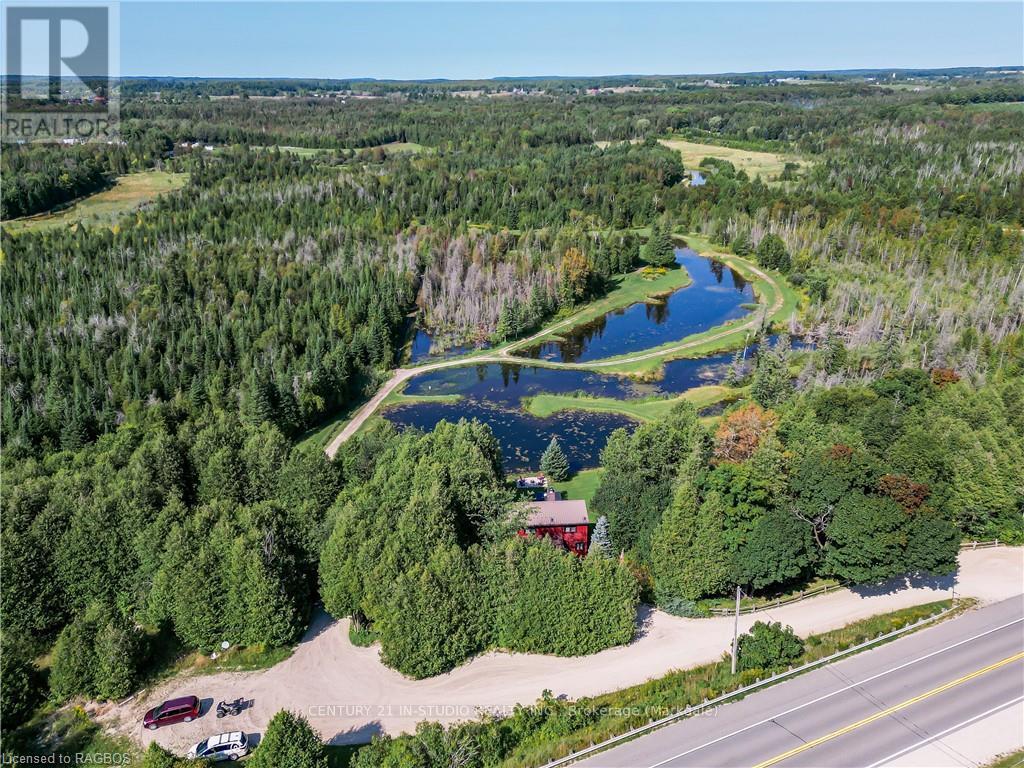 407047 Grey Road 4, Grey Highlands, Ontario  N0C 1E0 - Photo 3 - X10848248