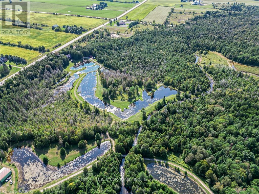 407047 Grey Road 4, Grey Highlands, Ontario  N0C 1E0 - Photo 43 - X10848248