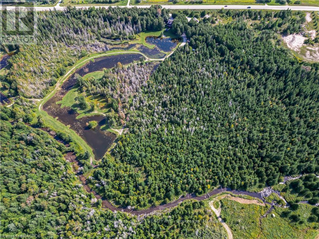 407047 Grey Road 4, Grey Highlands, Ontario  N0C 1E0 - Photo 45 - X10848248