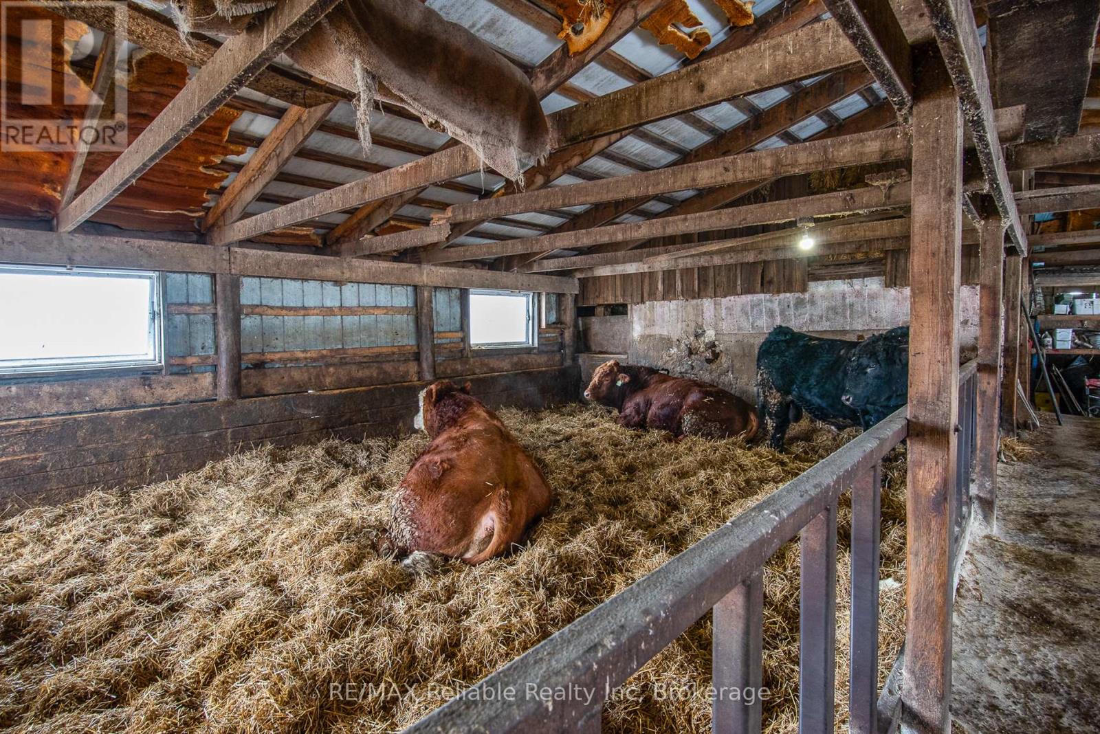 518 South Kinloss Avenue, Huron-Kinloss, Ontario  N0G 2H0 - Photo 17 - X11955952