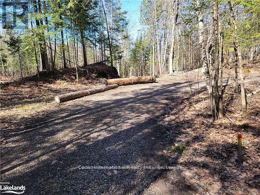 0 Highway 35 Highway, Lake Of Bays, Ontario P0A 1E0 - Photo 11 - X11957642