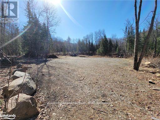 0 Highway 35 Highway, Lake Of Bays, Ontario  P0A 1E0 - Photo 13 - X11957642