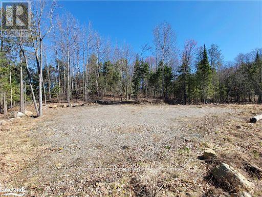 0 Highway 35 Highway, Lake Of Bays, Ontario  P0A 1E0 - Photo 18 - X11957642