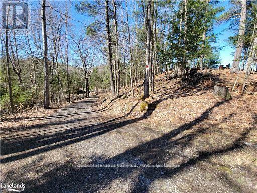 0 Highway 35 Highway, Lake Of Bays, Ontario  P0A 1E0 - Photo 20 - X11957642