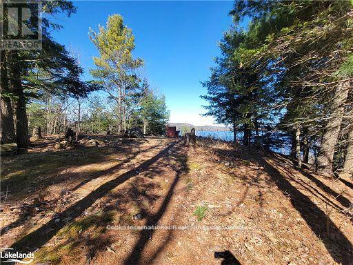 0 Highway 35 Highway, Lake Of Bays, Ontario  P0A 1E0 - Photo 21 - X11957642
