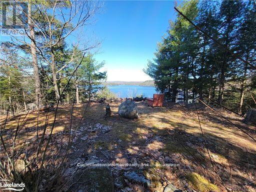 0 Highway 35 Highway, Lake Of Bays, Ontario  P0A 1E0 - Photo 23 - X11957642