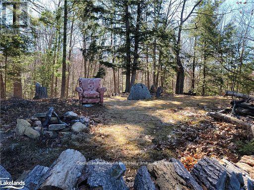 0 Highway 35 Highway, Lake Of Bays, Ontario  P0A 1E0 - Photo 24 - X11957642