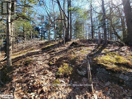 0 Highway 35 Highway, Lake Of Bays, Ontario  P0A 1E0 - Photo 27 - X11957642