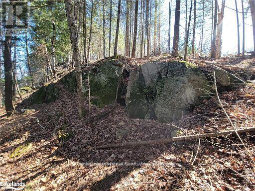 0 Highway 35 Highway, Lake Of Bays, Ontario  P0A 1E0 - Photo 31 - X11957642