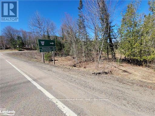 0 Highway 35 Highway, Lake Of Bays, Ontario  P0A 1E0 - Photo 33 - X11957642