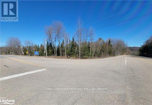 0 Highway 35 Highway, Lake Of Bays, Ontario  P0A 1E0 - Photo 34 - X11957642
