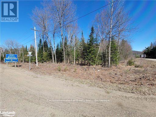 0 Highway 35 Highway, Lake Of Bays, Ontario P0A 1E0 - Photo 35 - X11957642