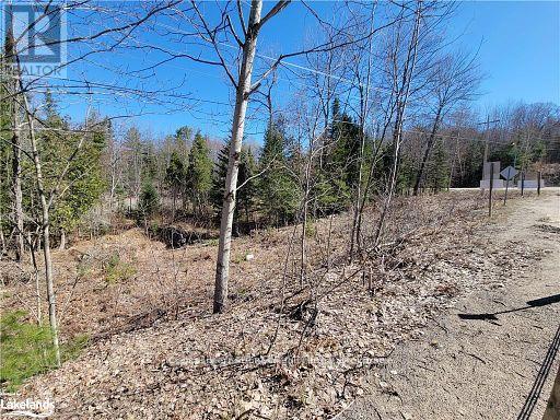 0 Highway 35 Highway, Lake Of Bays, Ontario  P0A 1E0 - Photo 36 - X11957642