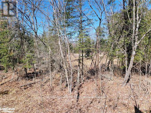 0 Highway 35 Highway, Lake Of Bays, Ontario  P0A 1E0 - Photo 40 - X11957642