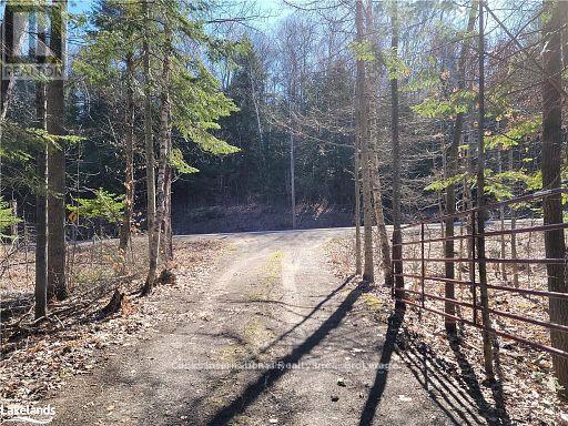 0 Highway 35 Highway, Lake Of Bays, Ontario  P0A 1E0 - Photo 42 - X11957642