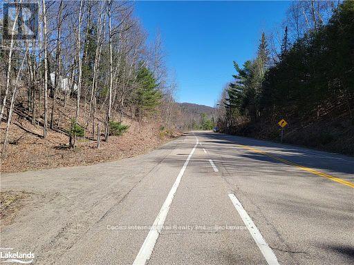 0 Highway 35 Highway, Lake Of Bays, Ontario  P0A 1E0 - Photo 43 - X11957642