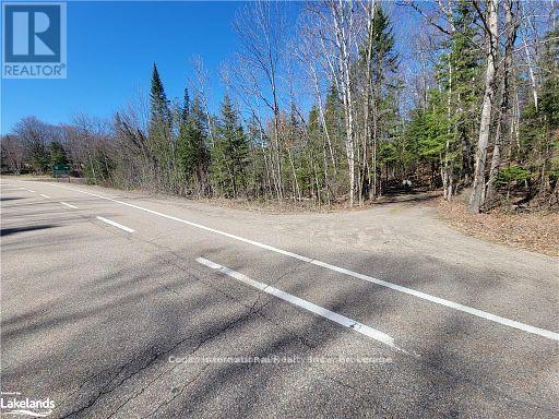 0 Highway 35 Highway, Lake Of Bays, Ontario  P0A 1E0 - Photo 44 - X11957642
