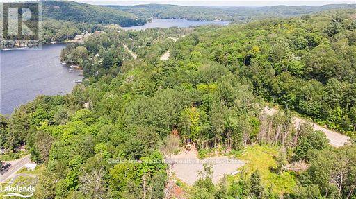 0 Highway 35 Highway, Lake Of Bays, Ontario  P0A 1E0 - Photo 47 - X11957642